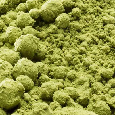 Matcha icon